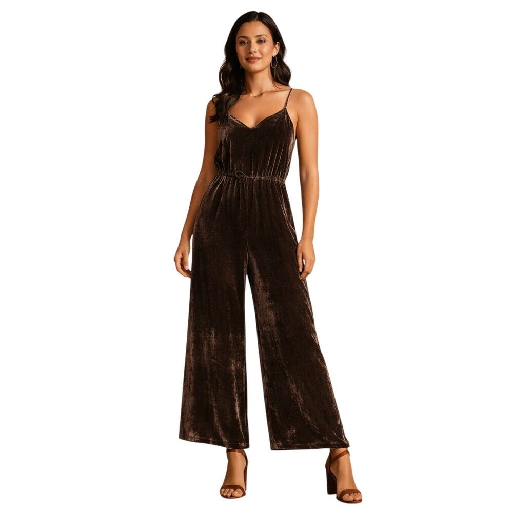 Madewell Women's 0 Brown Crushed Velvet Silk Blend Wide Leg Jumpsuit